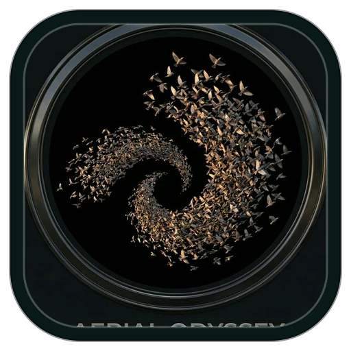 Flocks — science game for K-12